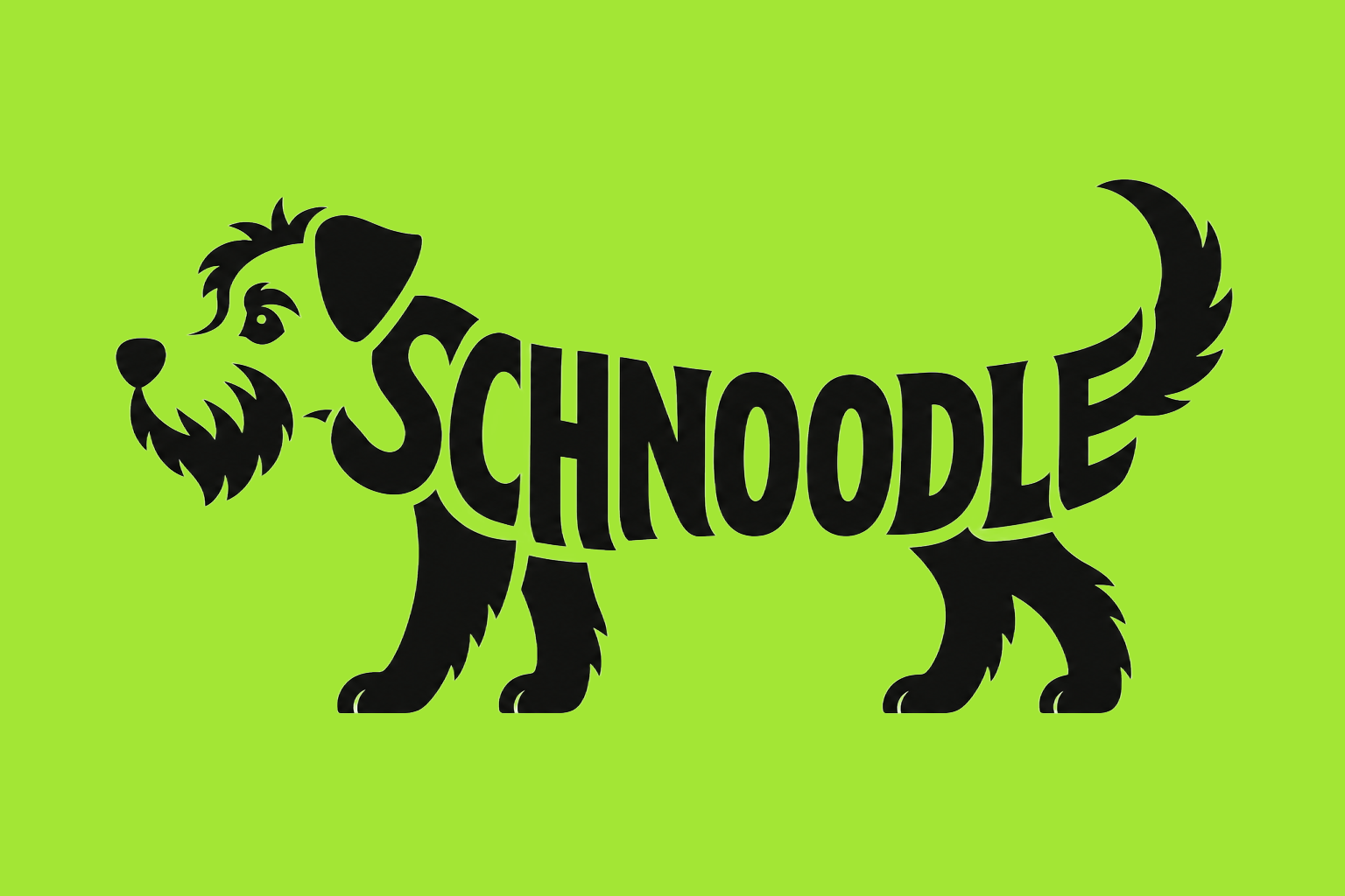 Schnoodle